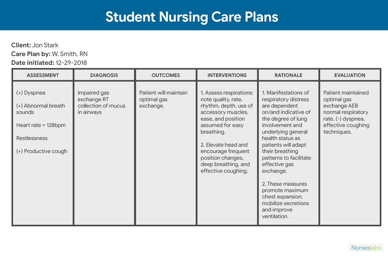001 Nursing Care Plan Template Ideas Student Plansncp Inside Nursing Care Plan Template Word
