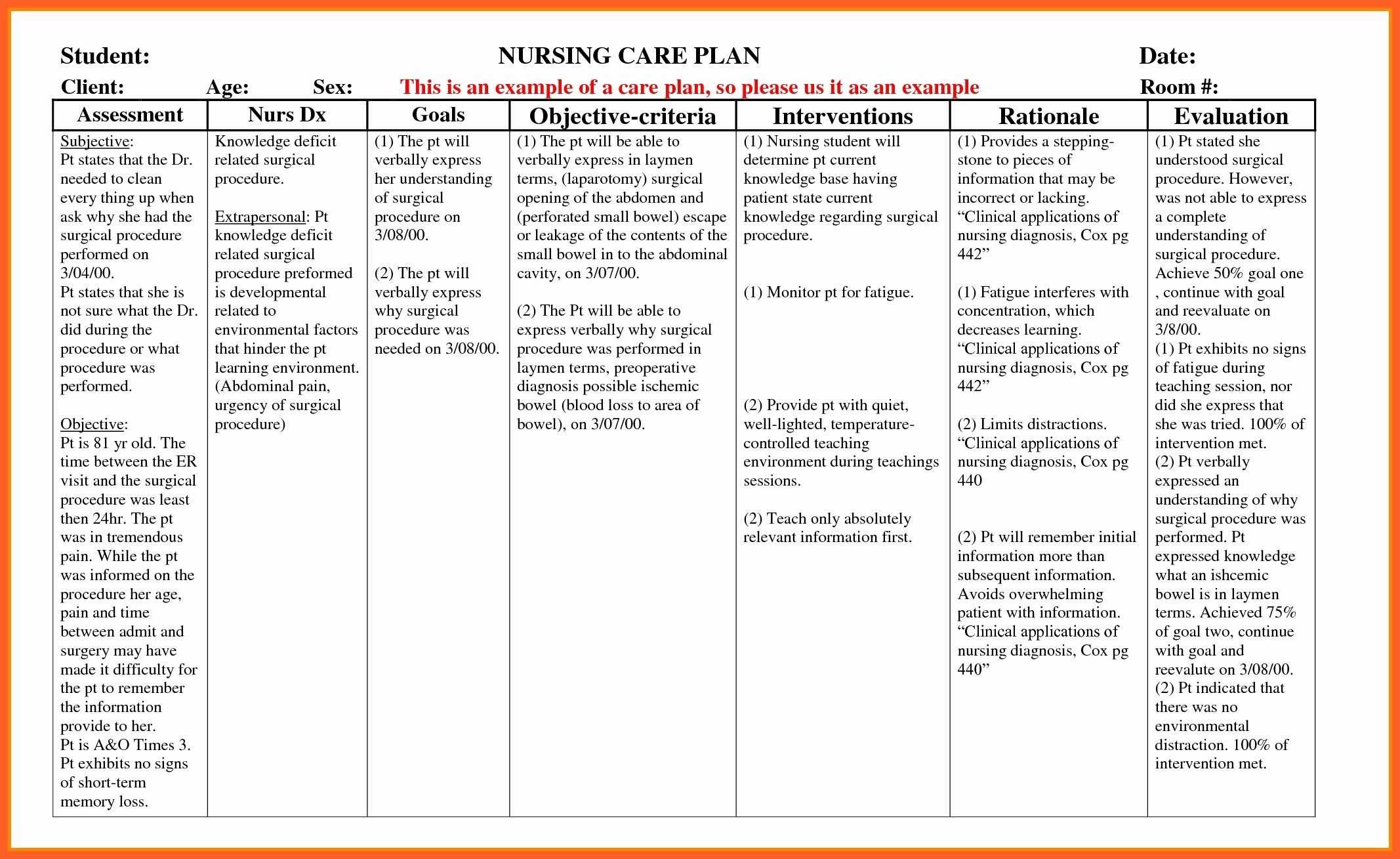 008 Nursing Care Plans Template Fearsome Ideas Examples Uk Inside Nursing Care Plan Template Word