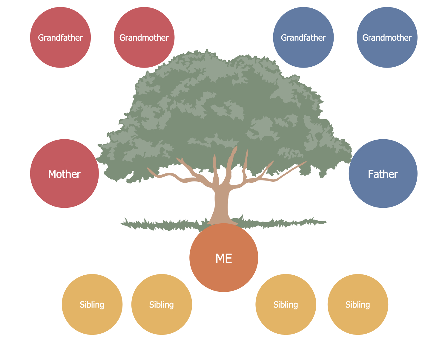 030 Simple Family Tree Drawing Template Breathtaking Ideas In 3 Generation Family Tree Template Word