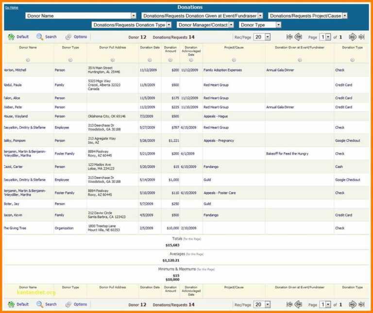 Fundraising Report Template