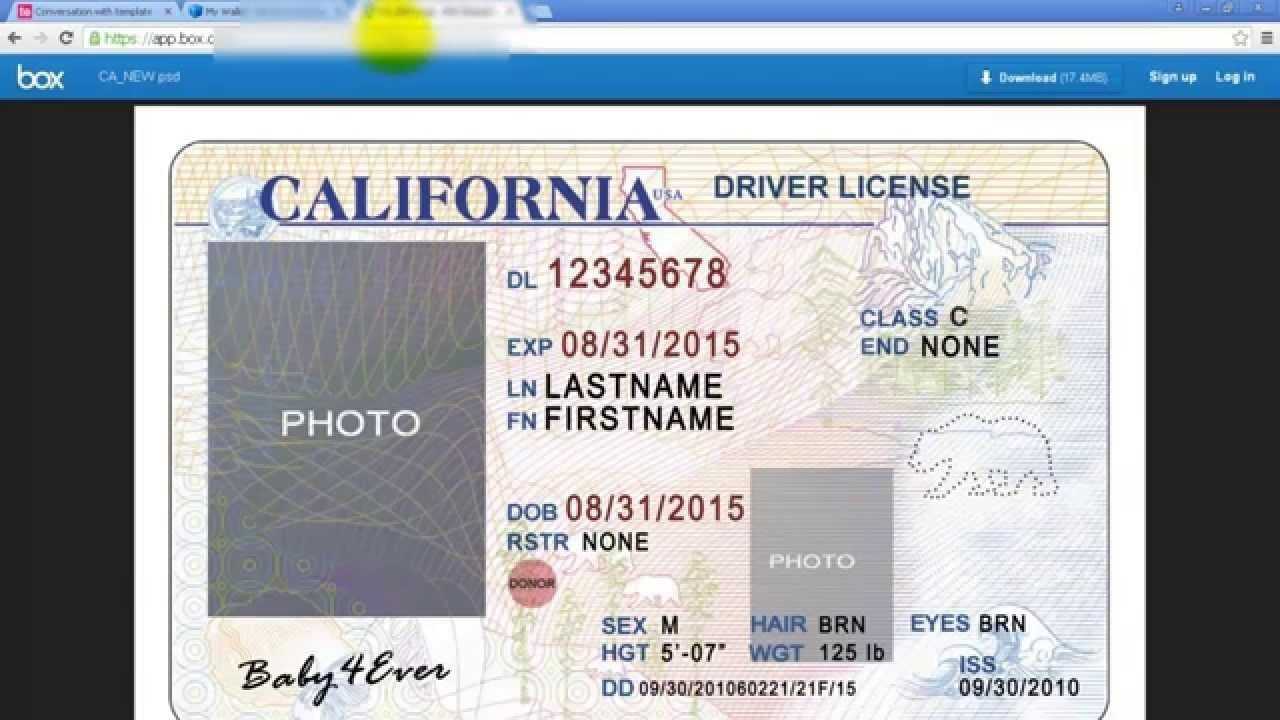 Pennsylvania Drivers License psd Free Template Mavenbda