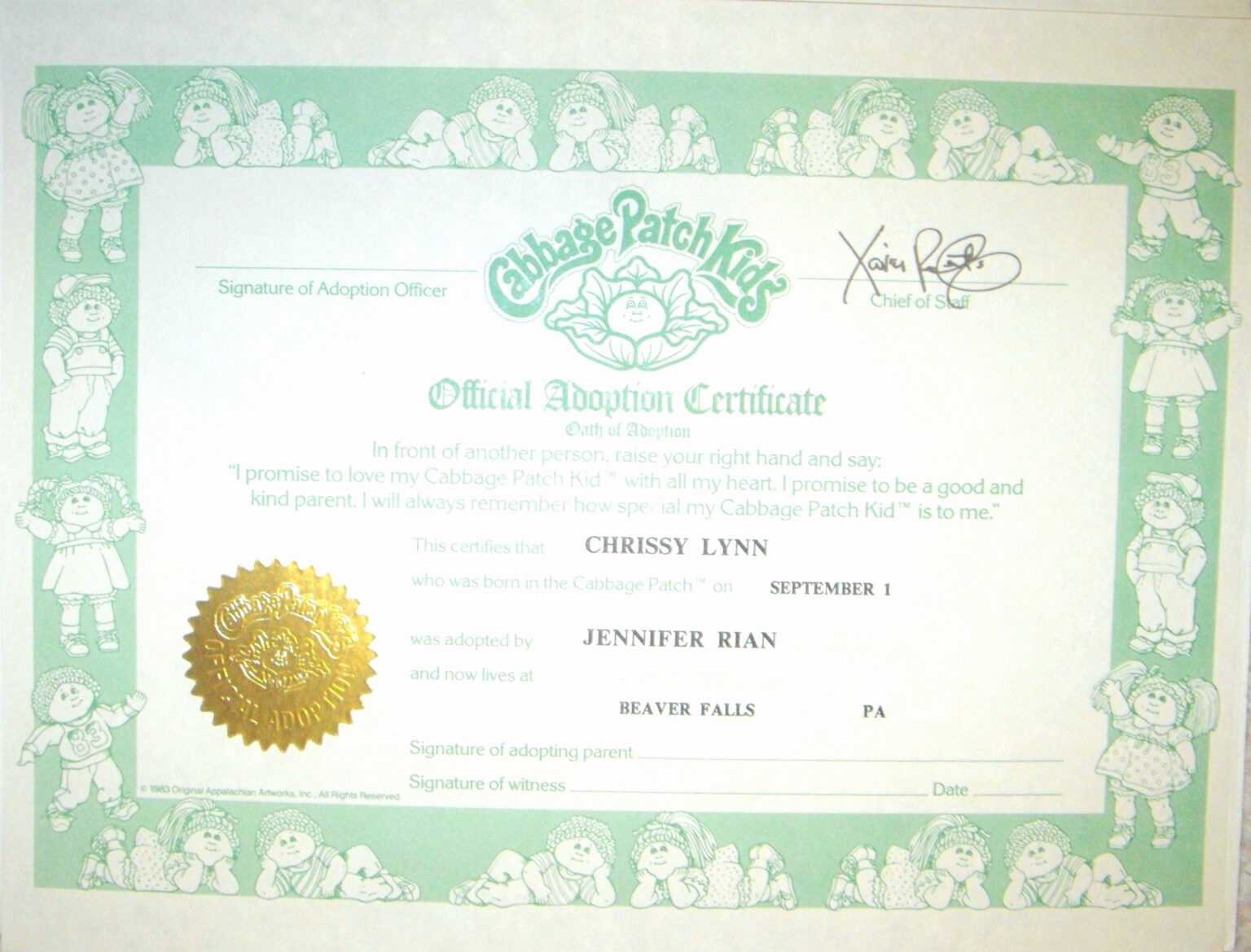 30 Cabbage Patch Birth Certificate Template Pryncepality With Girl 