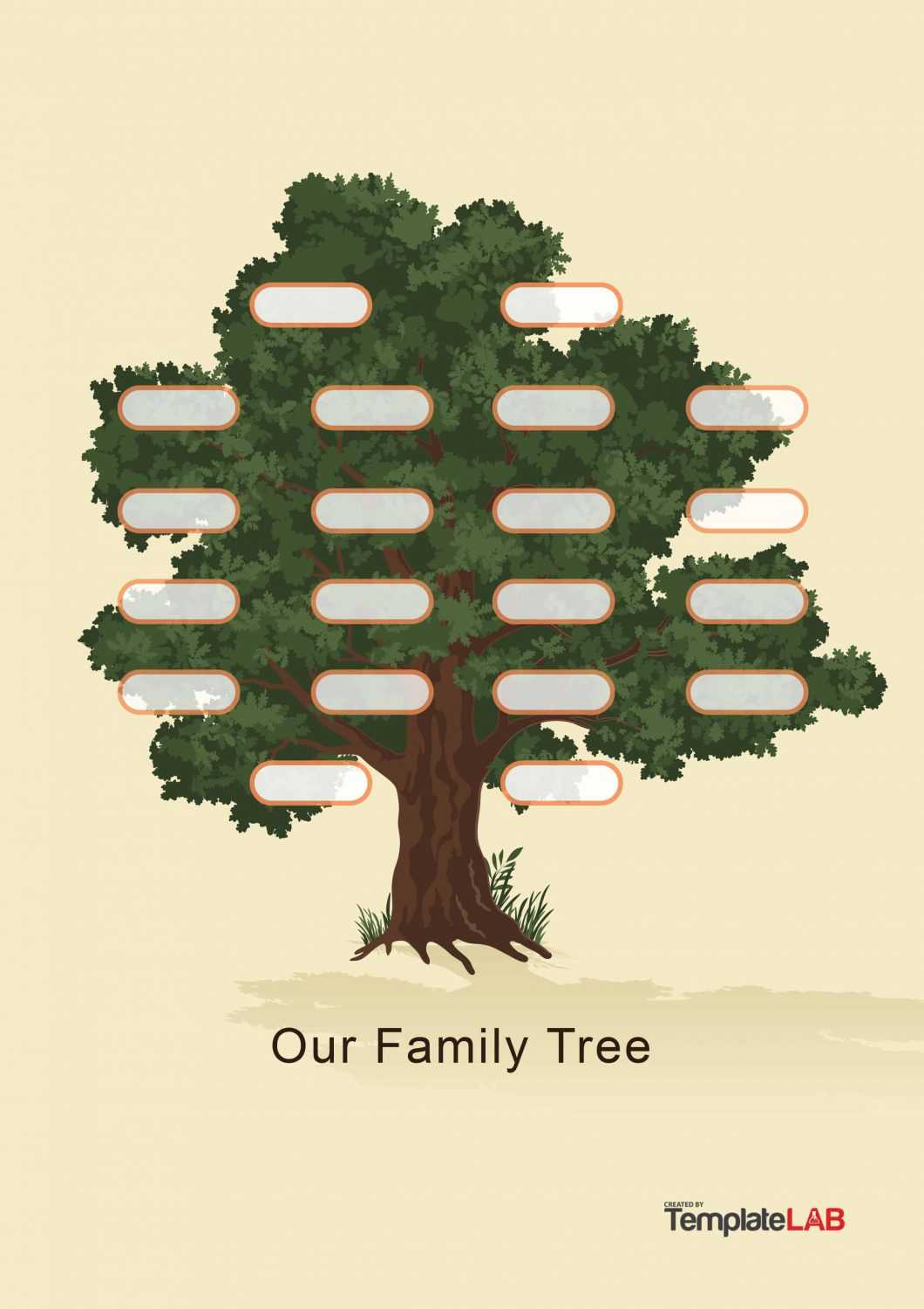 50+ Free Family Tree Templates (Word, Excel, Pdf) ᐅ Throughout 3 Generation Family Tree Template Word