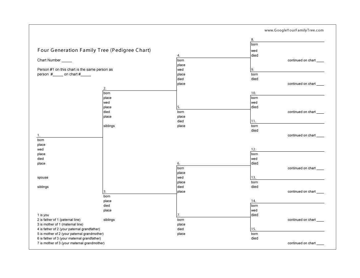 50+ Free Family Tree Templates (Word, Excel, Pdf) ᐅ With Blank Tree Diagram Template