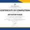 53 Free Certificate Of Participation Letter Format Pdf In Certificate Of Participation Template Pdf