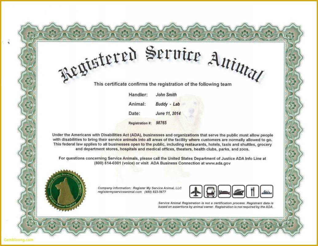 6 Unique Free Printable Service Dog Id Card Template For The Throughout Service Dog Certificate Template