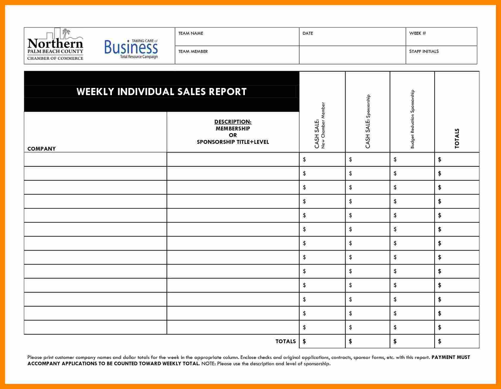 8+ Daily Activity Report Template Free Download | Lobo In Daily Sales Call Report Template Free Download