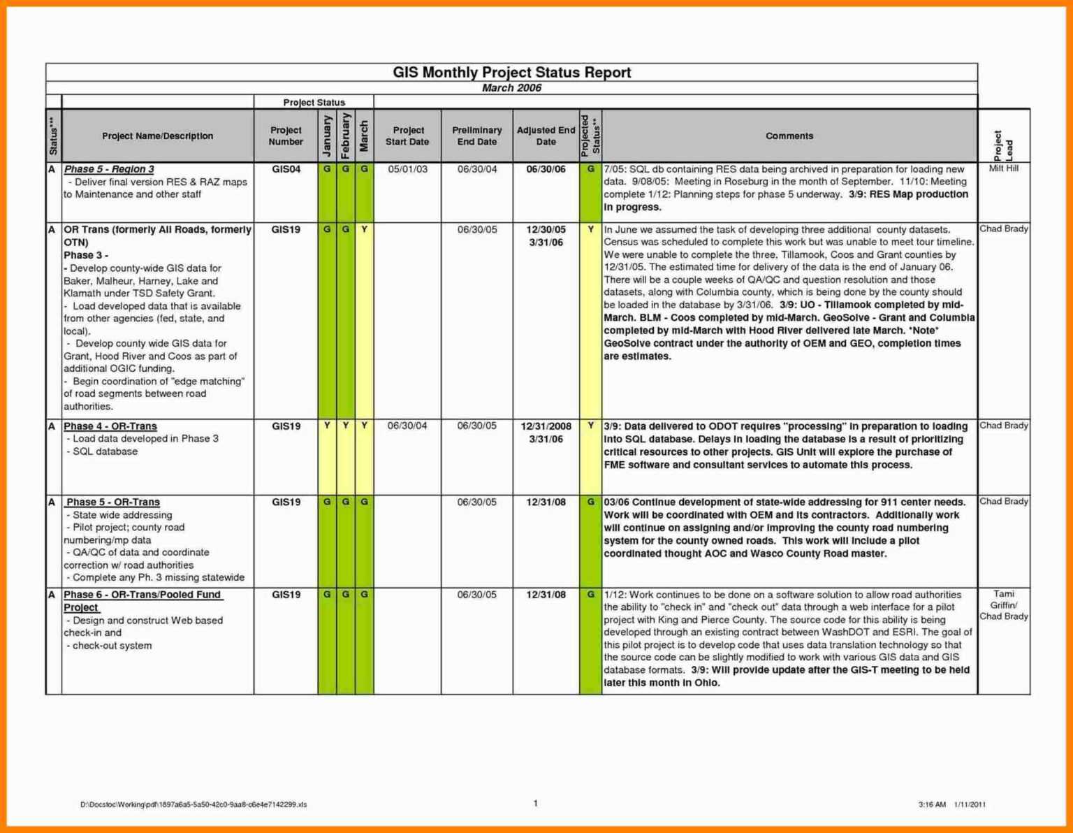 Development Status Report Template