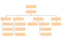 Blank Org Chart Template | Lucidchart intended for Free Blank Organizational Chart Template