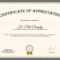 Cerificate Of Appreciation Sample Company Certificate With Promotion Certificate Template