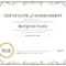 Certificate Of Achievement Inside Blank Certificate Of Achievement Template