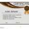 Certificate Of Achievement Or Diploma. Elegant Light Within Certificate Of Attainment Template