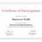 Certificate Of Participation Sample Design Samples For Certificate Of Participation In Workshop Template
