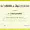 Certificate Of School Appreciation Template With Regard To Certificate Templates For School