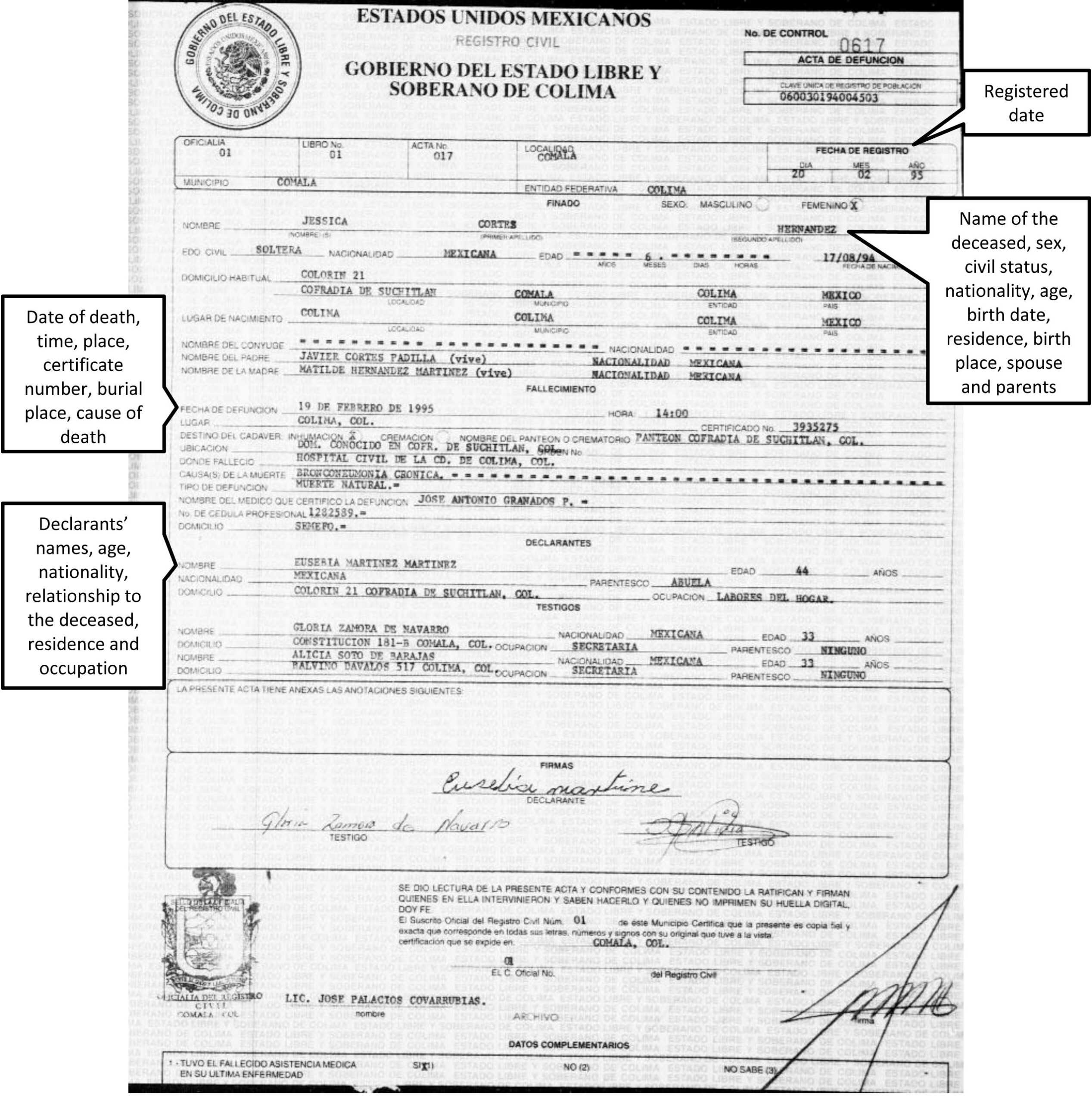Certificates: Enchanting Mexican Marriage Certificate In Mexican Birth Certificate Translation Template