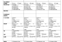 Charge Nurse Report Sheet Sample | Nurse Report Sheet, Nurse intended for Charge Nurse Report Sheet Template