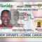 Check Out Florida's New Driver's Licenses And Id Cards Regarding Florida Id Card Template