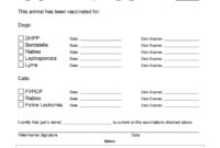 Dog Shot Record - Fill Online, Printable, Fillable, Blank for Dog Vaccination Certificate Template