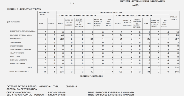 Eeo 1 Report Template