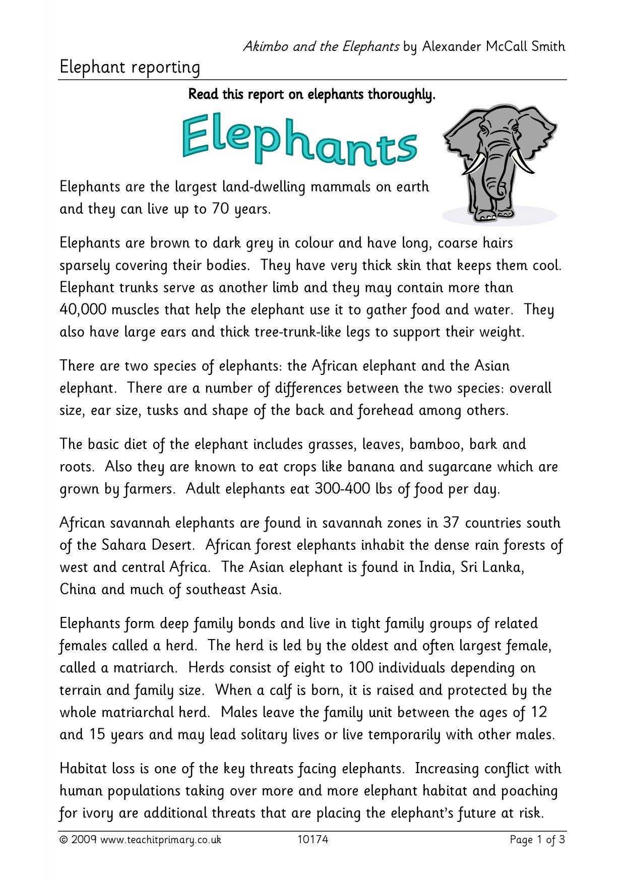 Elephant Report Writing Within Report Writing Template Ks1