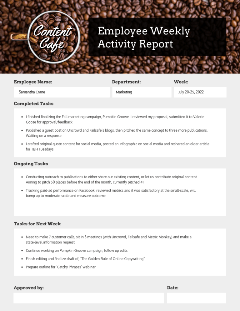 Staff Progress Report Template