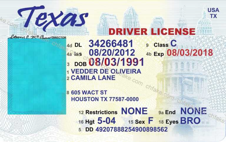 online drivers license template fake