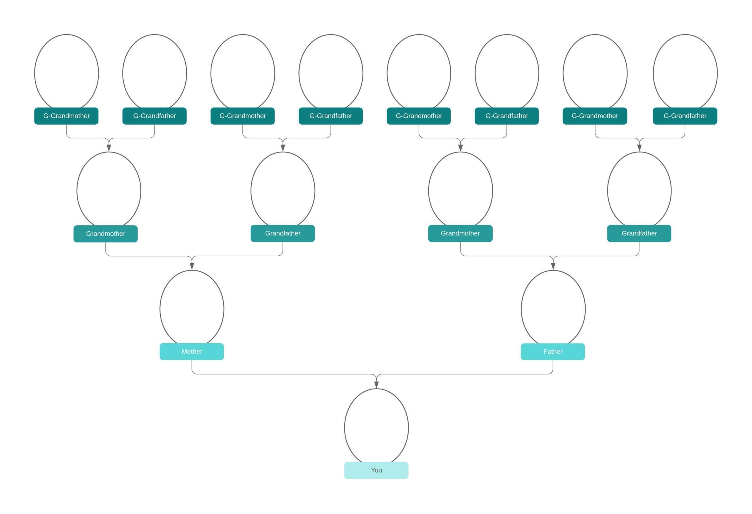 Family Tree Generator | Lucidchart Intended For Blank Tree Diagram Template