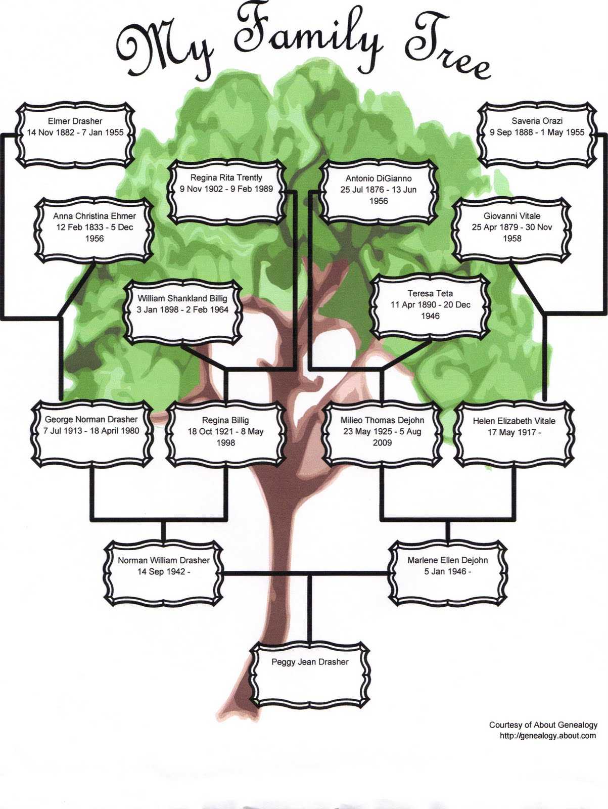 Family Tree Template: Family Tree Template For 3 Generations Regarding Blank Family Tree Template 3 Generations