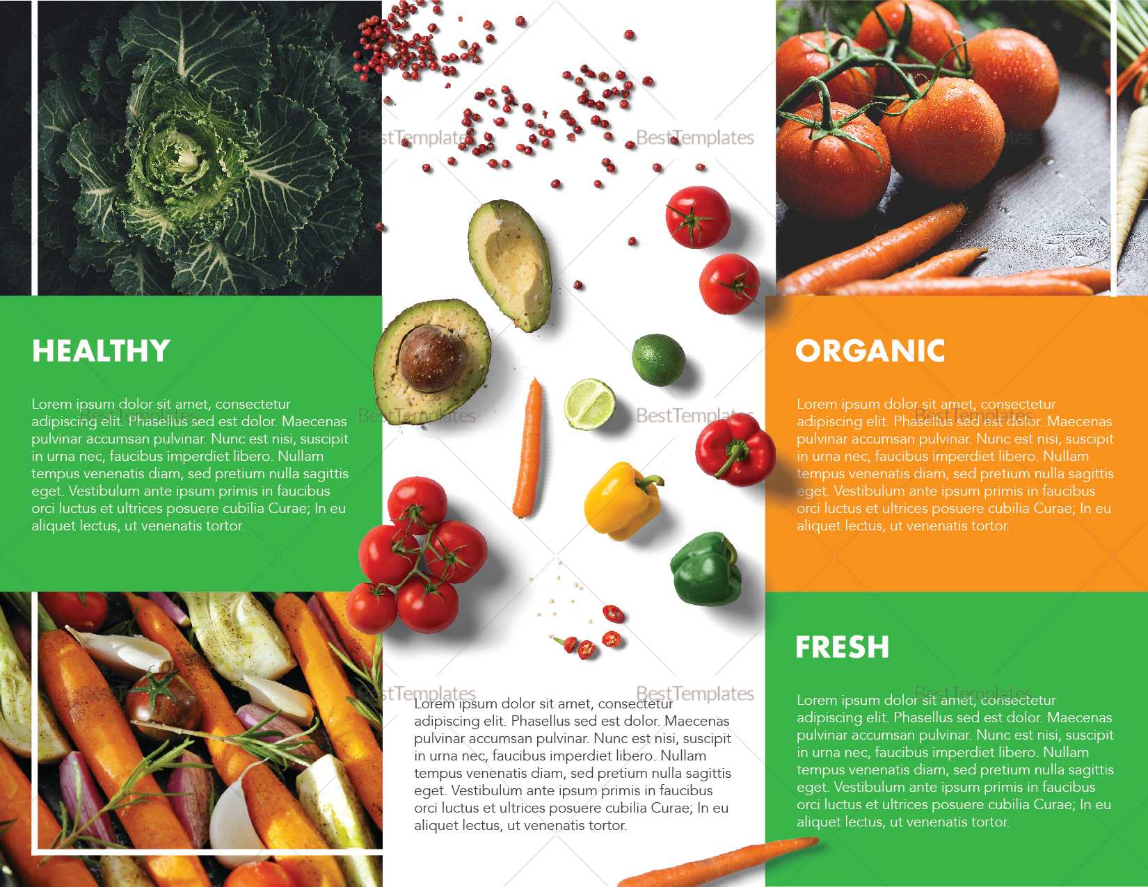 Food Brochure Template With Nutrition Brochure Template