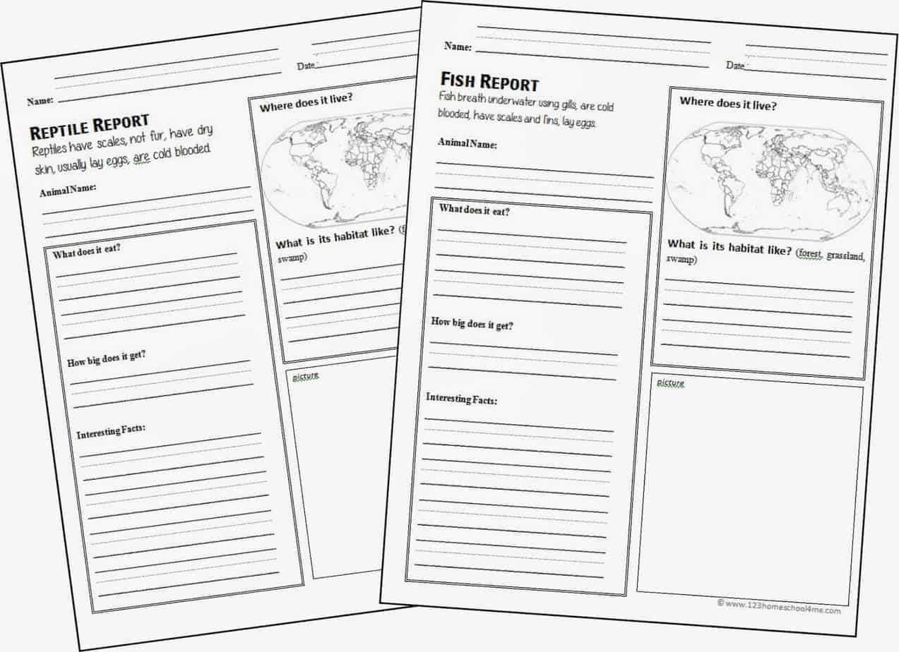 Free Animal Report Form Printable | 123 Homeschool 4 Me Inside Animal Report Template