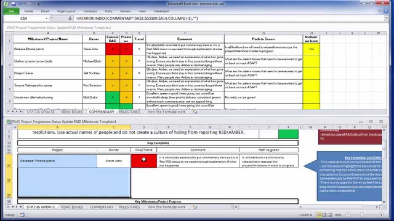 Free Pmo Excel Template Intended For Project Status Report Template Word 2010
