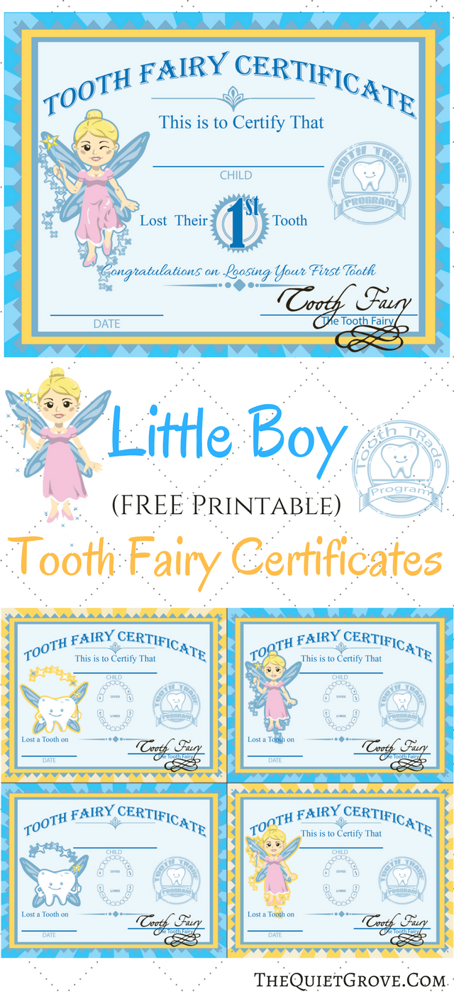 Free Printable Tooth Fairy Certificates | Tooth Fairy In Tooth Fairy Certificate Template Free