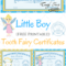 Free Printable Tooth Fairy Certificates | Tooth Fairy Pertaining To Free Tooth Fairy Certificate Template