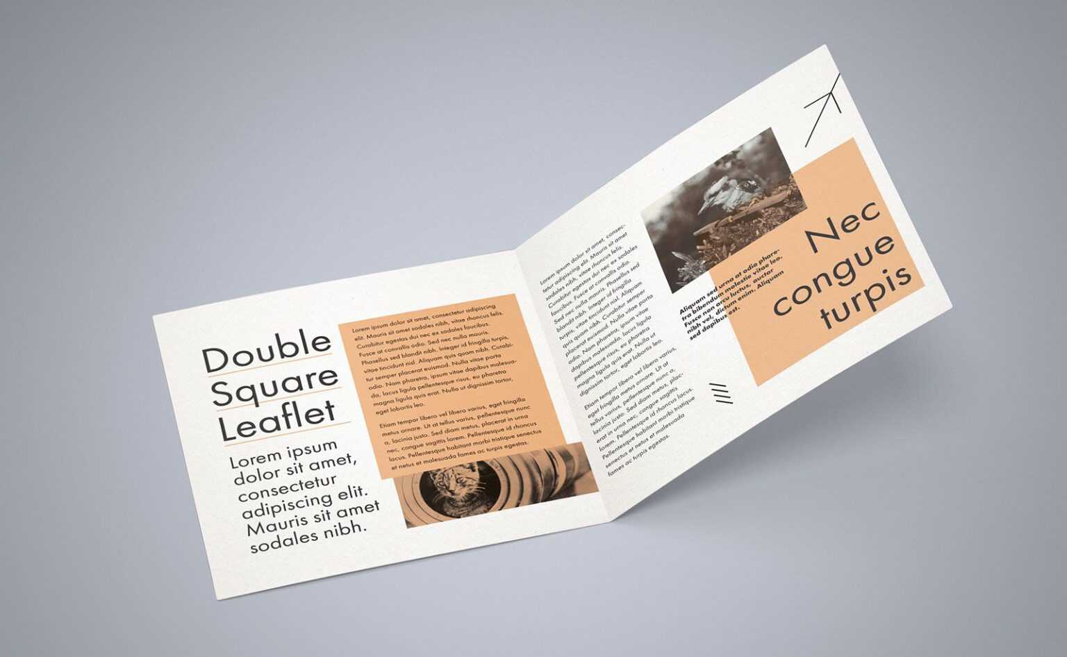 2 Fold Brochure Template Free