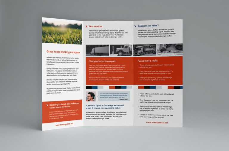 3 Fold Brochure Template Psd Free Download