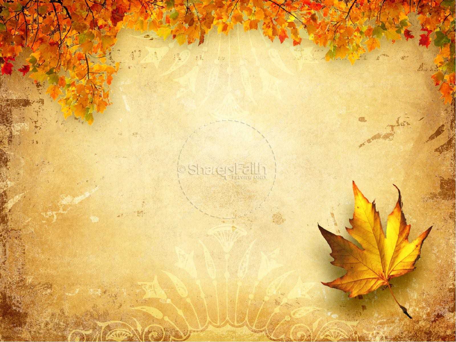 Fresh Pics Of Free Thanksgiving Powerpoint Templates Fall Regarding Free Fall Powerpoint Templates