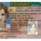 Here's A Sample Of A Fake Florida Id Card That's Solda in Florida Id Card Template