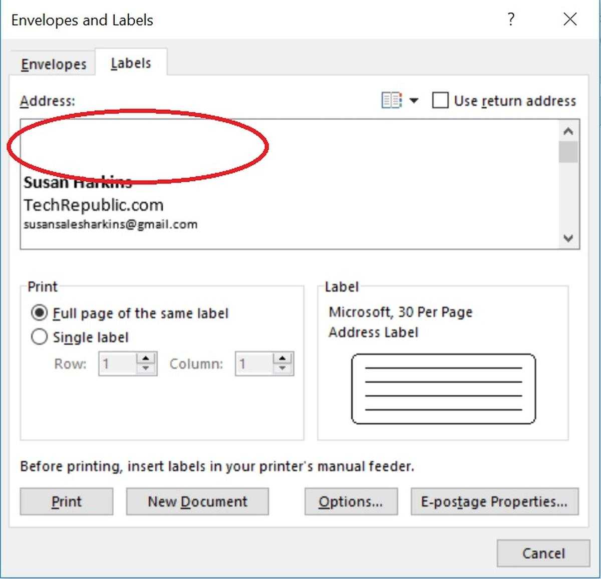 How To Insert Graphics Into Word Label Documents – Techrepublic Intended For Name Tag Template Word 2010