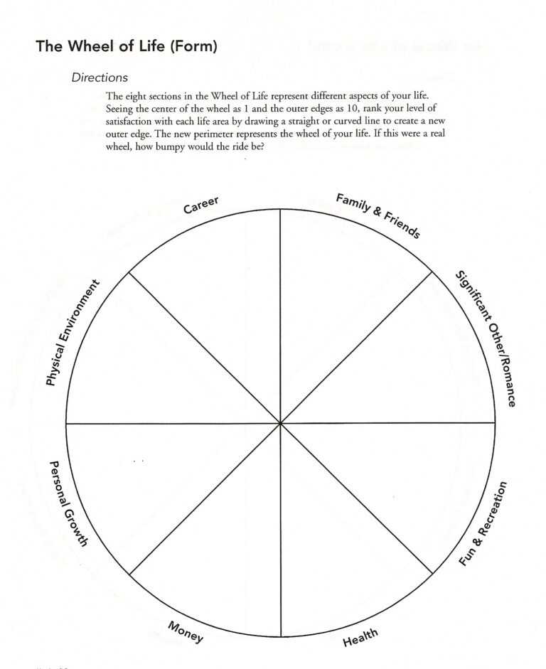 wheel of life coaching template