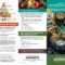 Mediterranean Diet 101 Brochure | Oldways Intended For Nutrition Brochure Template