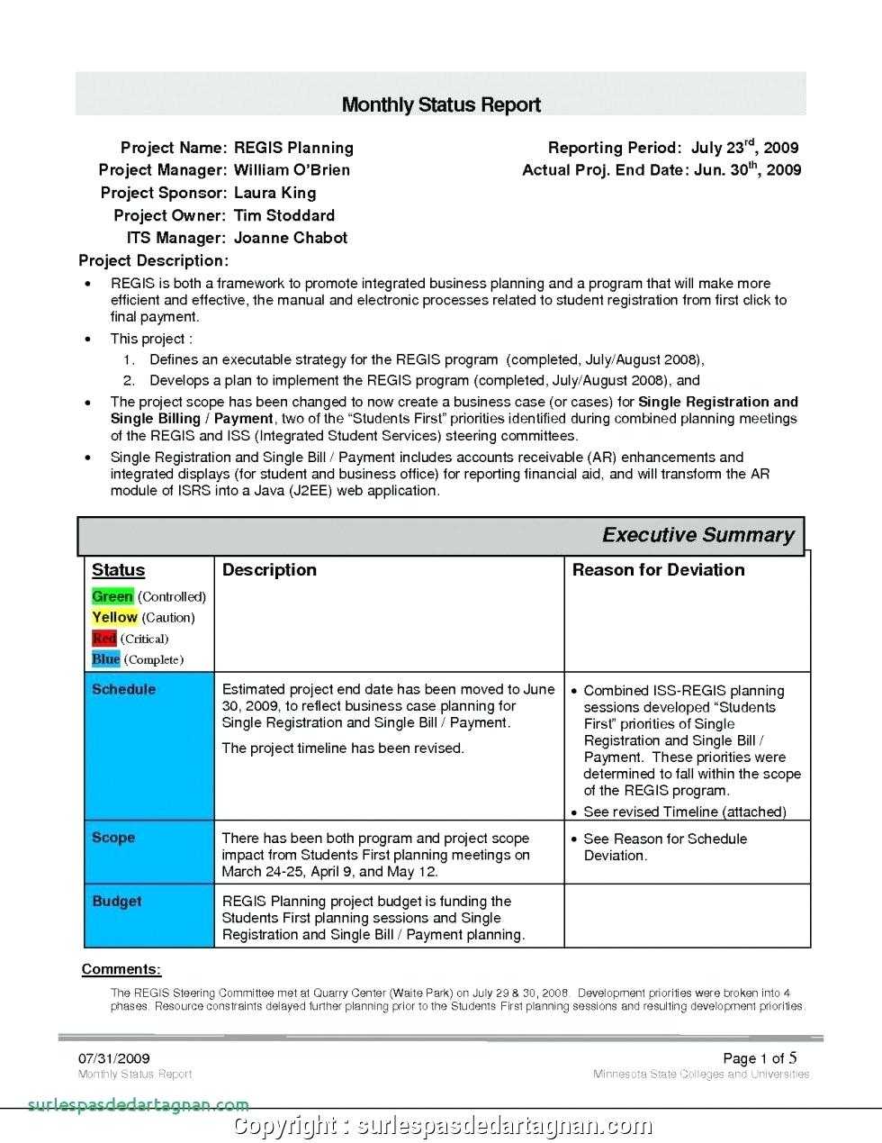 Monthly Executive Report Template – Diadeveloper In Executive Summary Project Status Report Template