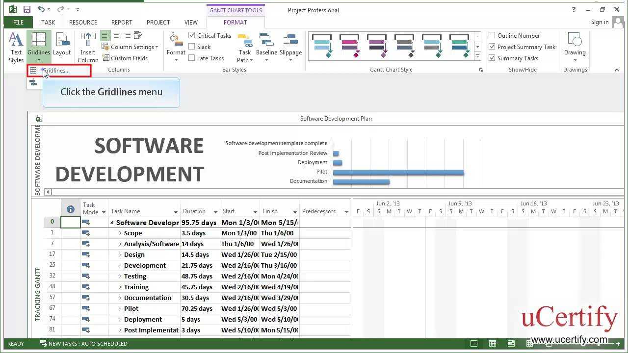 Ms Project 2013 How To Change The Format Of The Current Date Line Demo 