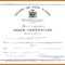 Novelty Birth Certificate Template – Atlantaauctionco With Novelty Birth Certificate Template