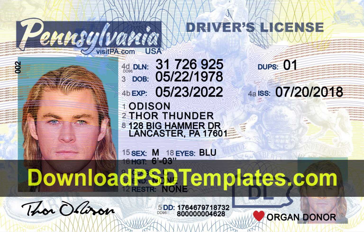 pennsylvania-driver-license-template-psd-new-pa-dl-with-regard-to