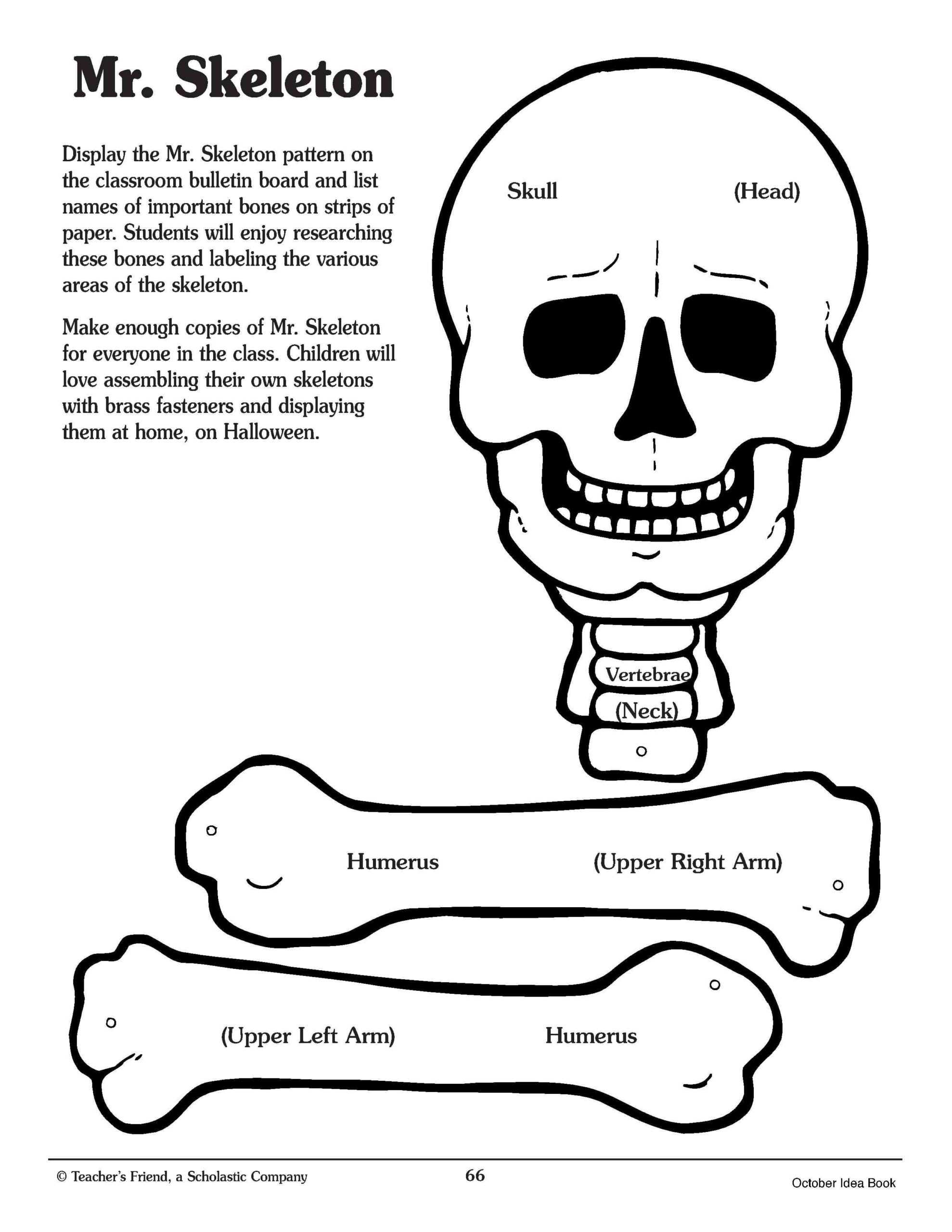 Pin On For The Classroom Regarding Skeleton Book Report Template