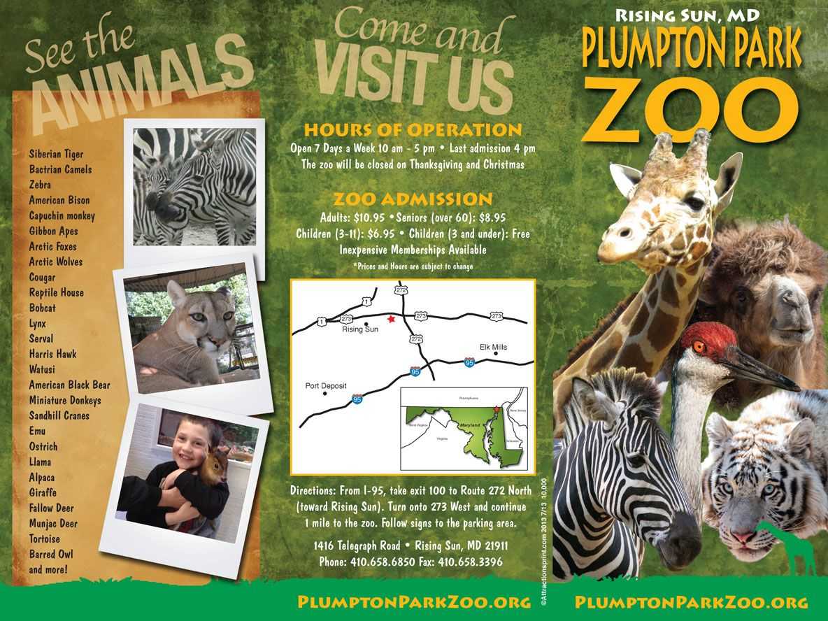 zoo trip flyer