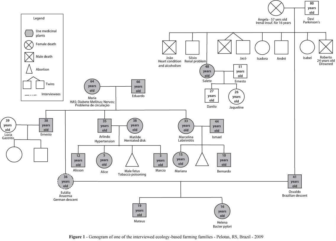 Pindee On Design | Genogram Template, Social Work Regarding Family Genogram Template Word