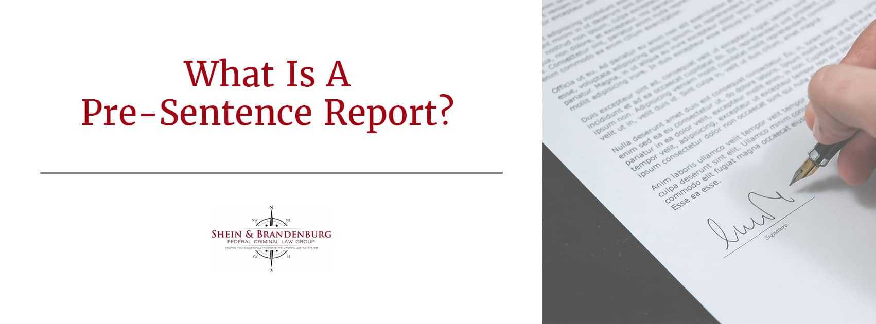 Presentence Investigation Report Template Example Federal Intended For Presentence Investigation Report Template