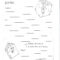 Printable Book Report Forms | Miss Murphy's 1St And 2Nd Within Book Report Template 2Nd Grade