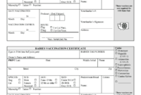 Rabies Certificate Template - Fill Online, Printable intended for Rabies Vaccine Certificate Template